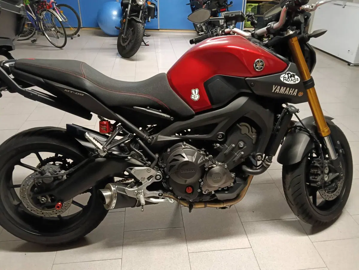 Yamaha MT-09 SP (2018 - 20) (2)