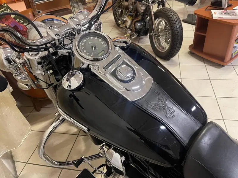 Harley-Davidson 1690 Switchback (2011 - 16) (16)