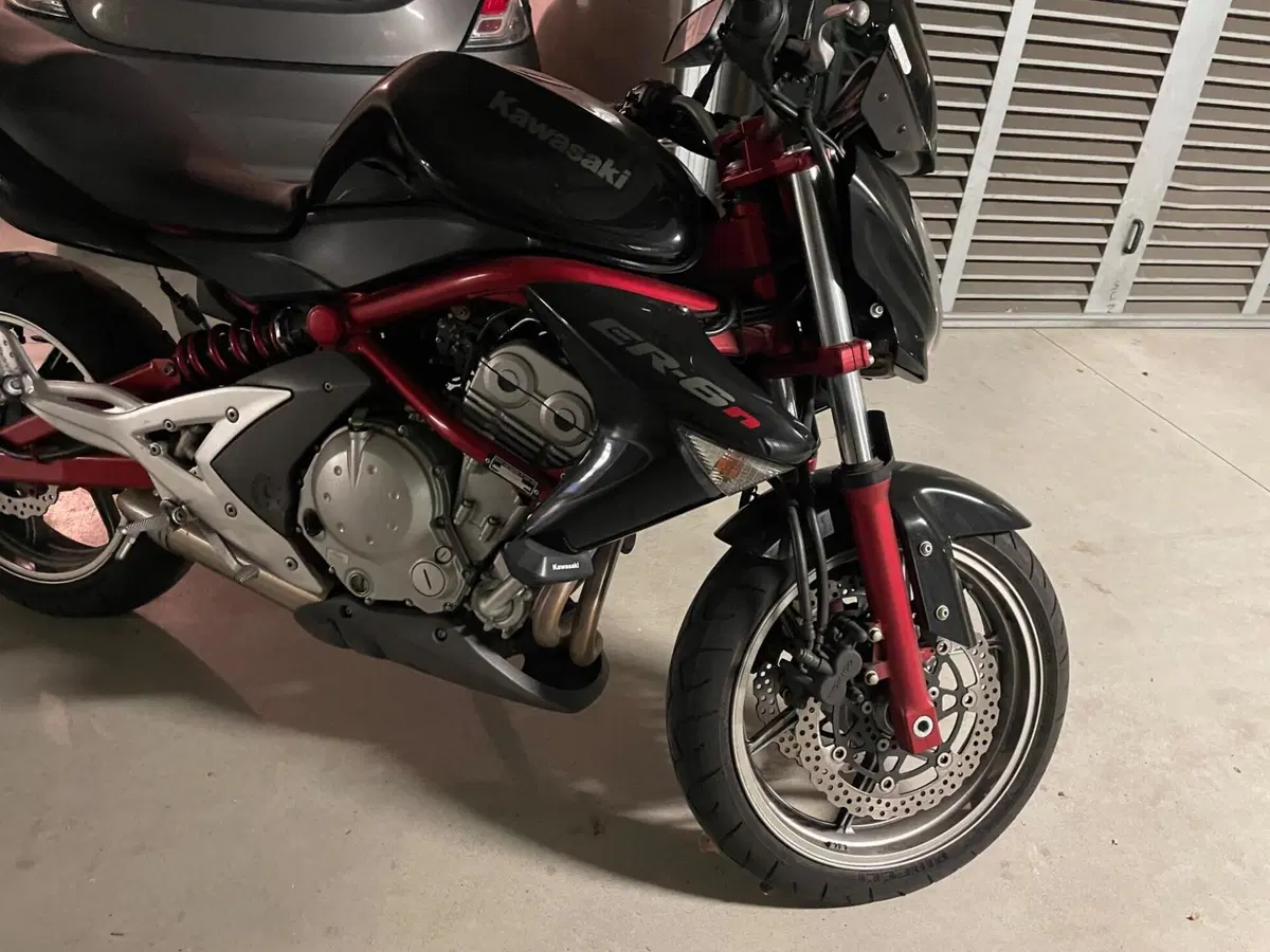 Kawasaki ER-6N (2006 - 09)