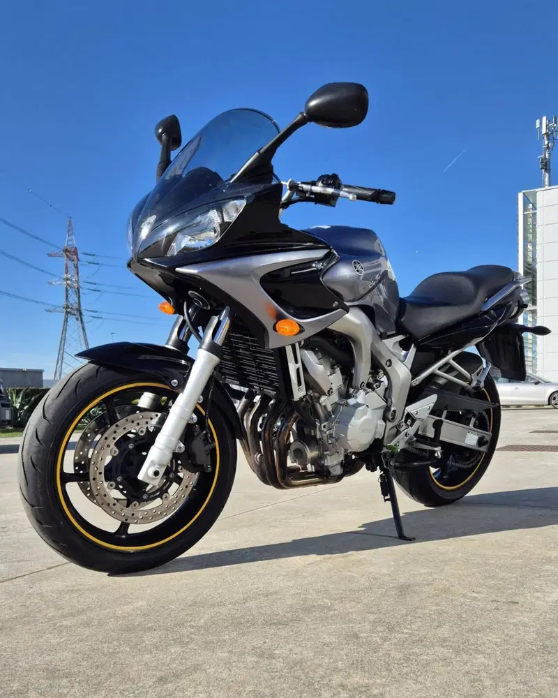 Yamaha FZ6 Fazer (2004 - 07) (3)