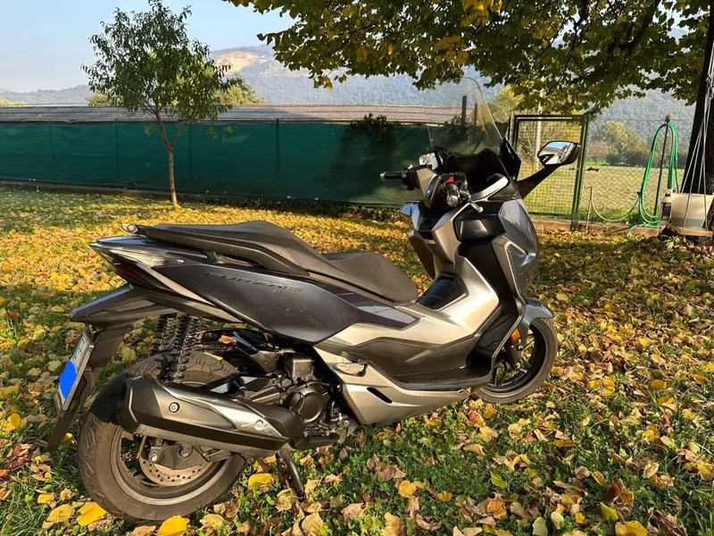 Honda Forza 300 ABS (2018 - 20) (7)
