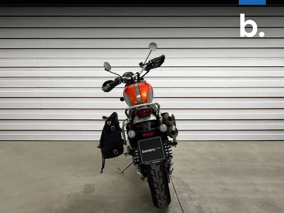 Triumph Scrambler 1200 XE Gold Line Edition (2021 - 22) (4)