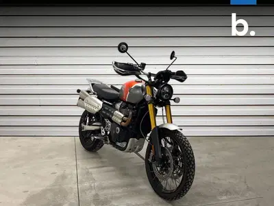 Triumph Scrambler 1200 XE Gold Line Edition (2021 - 22) usata
