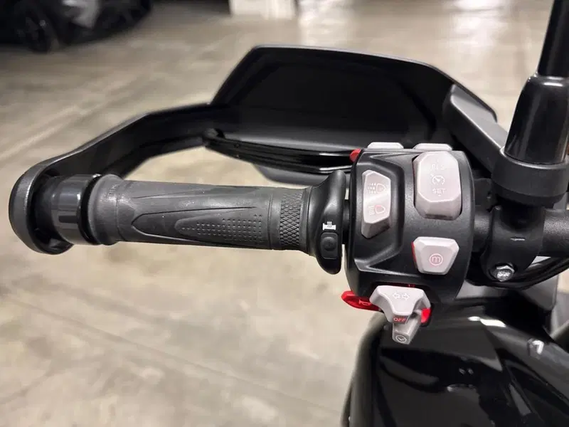 Triumph Tiger 1200 GT Pro (2022 - 23) (7)