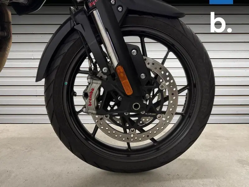 Triumph Tiger 1200 GT Pro (2022 - 23) (14)