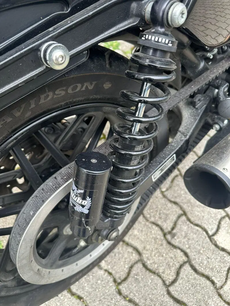 Harley-Davidson 1200 Roadster (2016 - 2017) - XL 1200R (7)