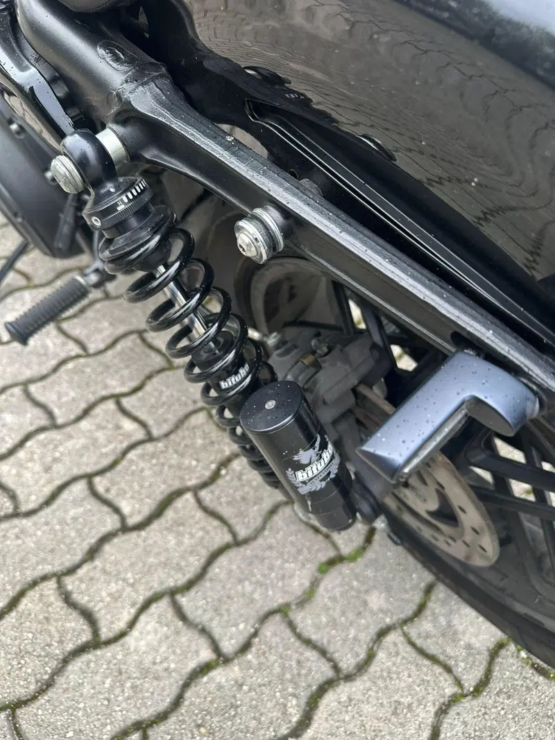 Harley-Davidson 1200 Roadster (2016 - 2017) - XL 1200R (10)