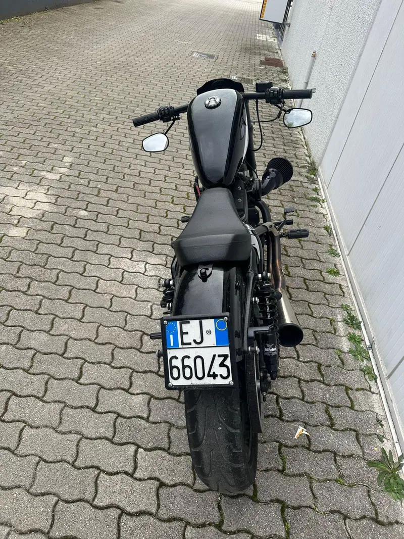 Harley-Davidson 1200 Roadster (2016 - 2017) - XL 1200R (8)