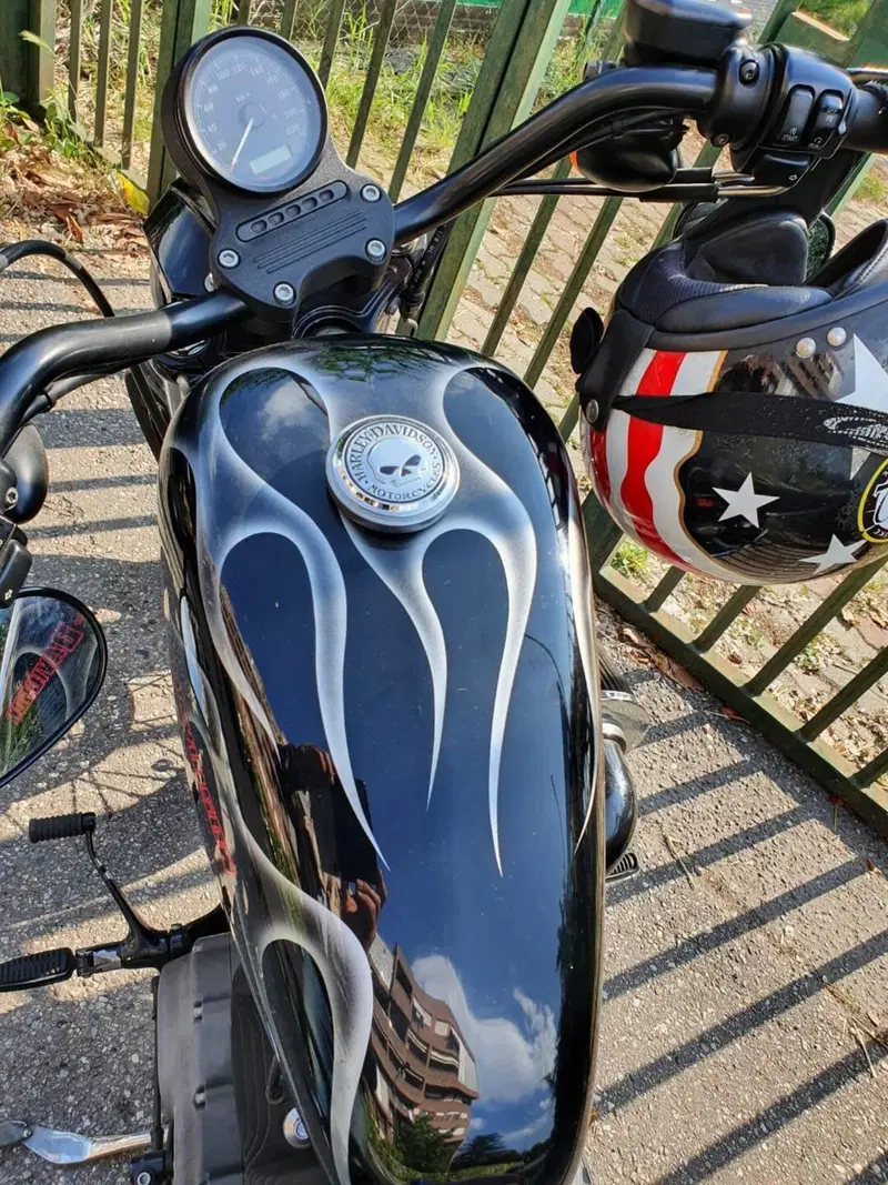 Harley-Davidson 1200 Roadster (2006 - 08) - XL 1200R (4)