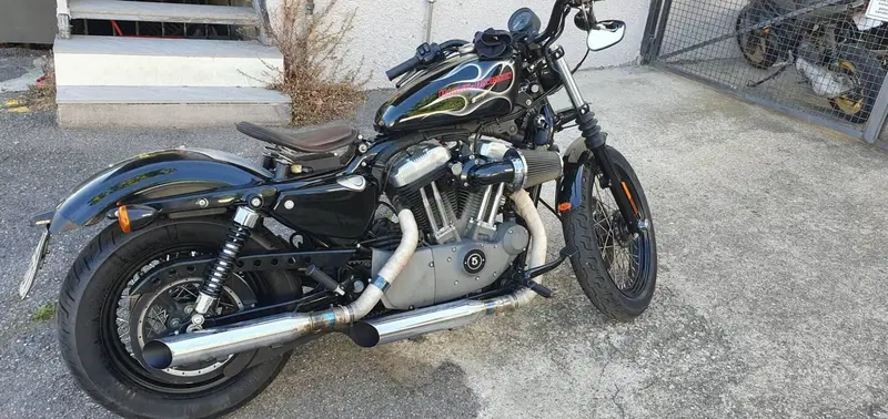 Harley-Davidson 1200 Roadster (2006 - 08) - XL 1200R (5)