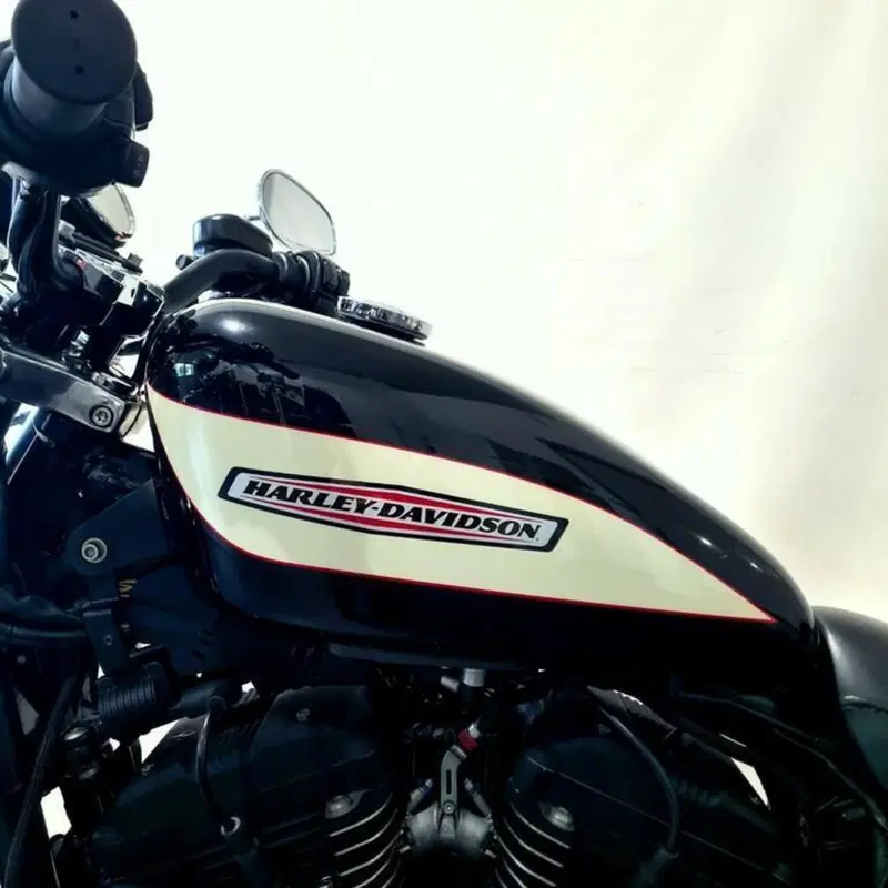 Harley-Davidson 1200 Roadster (2006 - 08) - XL 1200R (12)