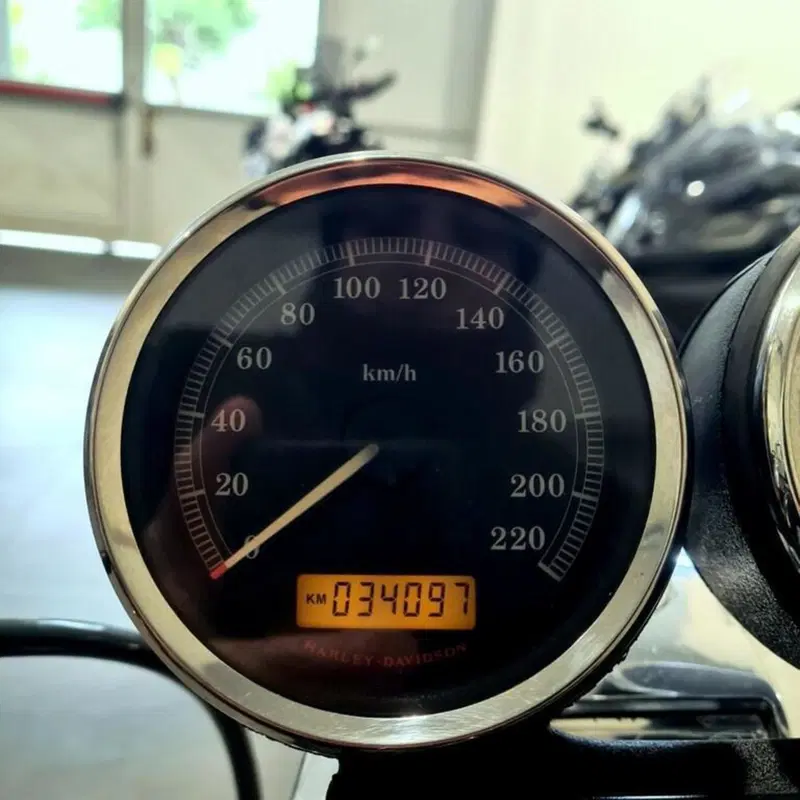Harley-Davidson 1200 Roadster (2006 - 08) - XL 1200R (5)