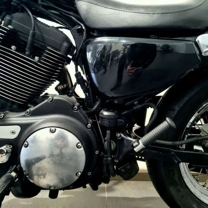 Harley-Davidson 1200 Roadster (2006 - 08) - XL 1200R (14)