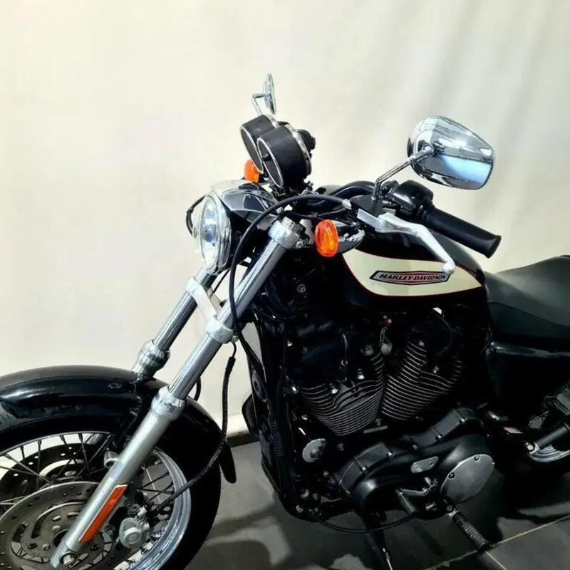 Harley-Davidson 1200 Roadster (2006 - 08) - XL 1200R (9)