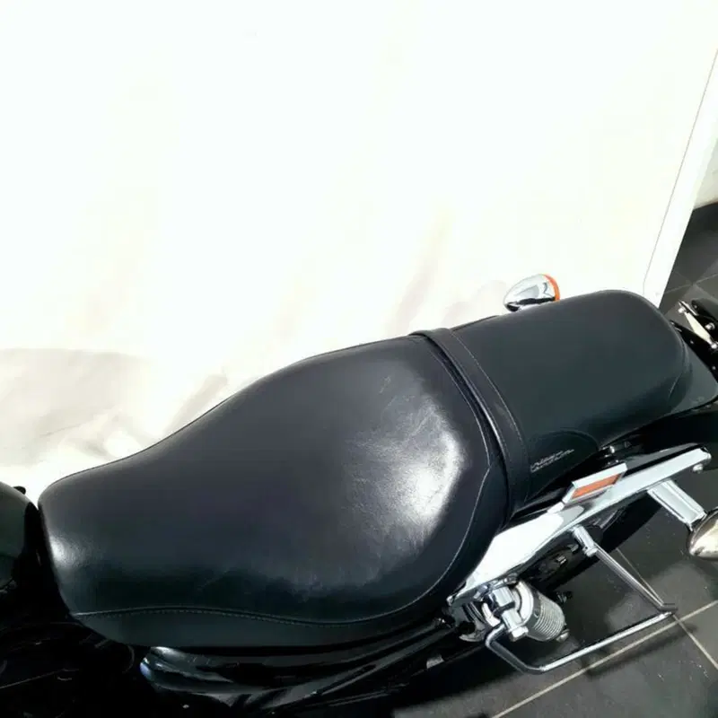 Harley-Davidson 1200 Roadster (2006 - 08) - XL 1200R (15)