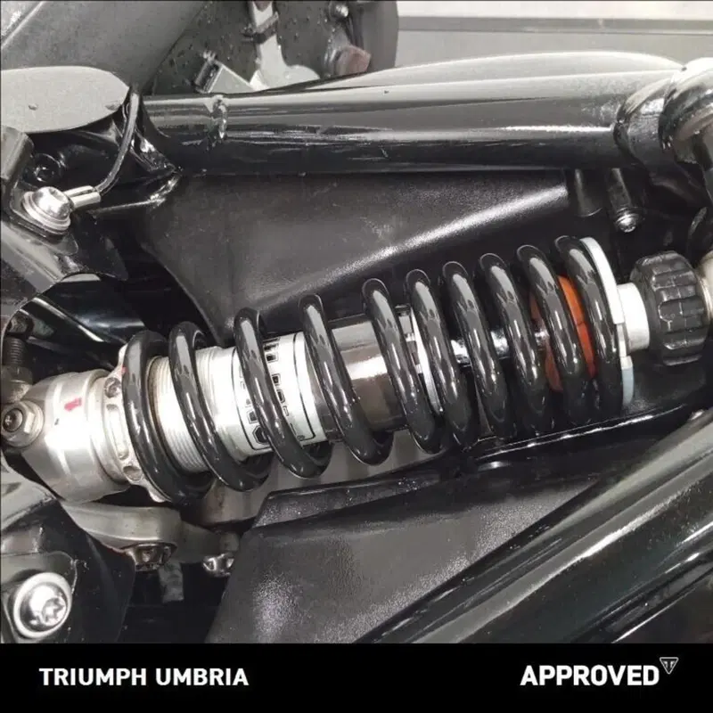 Triumph Bonneville Speedmaster 1200 (2018 - 20) (6)