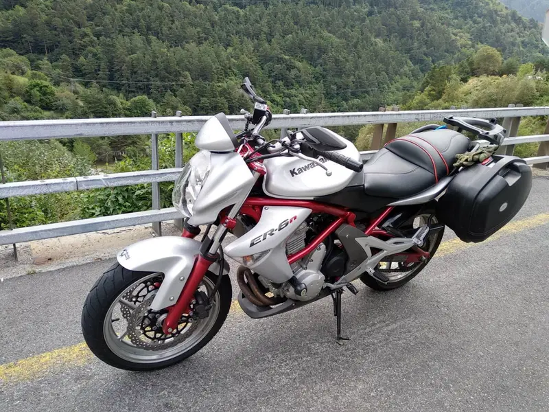 Kawasaki ER-6N (2005 - 08) (3)