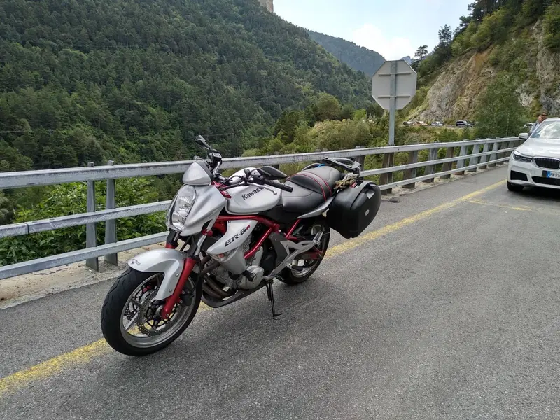 Kawasaki ER-6N (2005 - 08) (4)