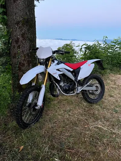 Vent Baja 50 (2021 - 25) usata