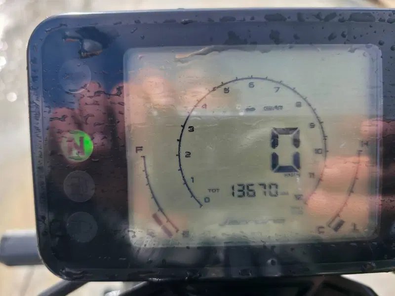 Benelli Leoncino 250 (2021 - 25)