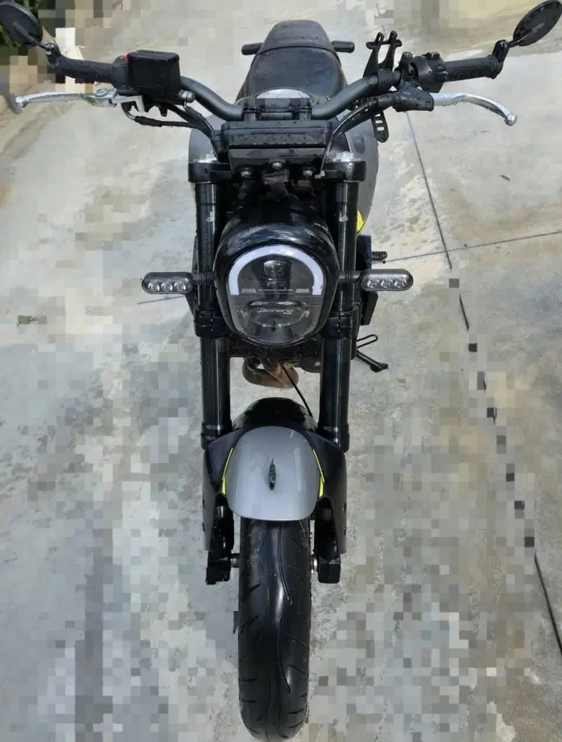 Benelli Leoncino 250 (2021 - 25) (3)