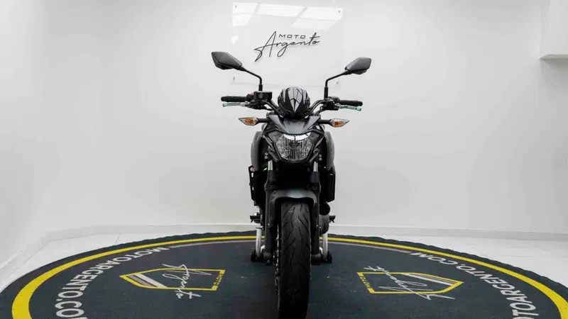 Kawasaki Z 650 (2017 - 19) (8)