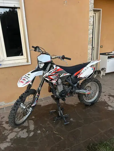 Betamotor RR 525 4T Enduro (2007) usata