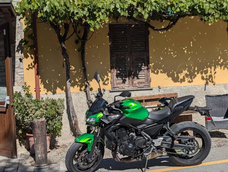 Kawasaki Z 650 (2020)