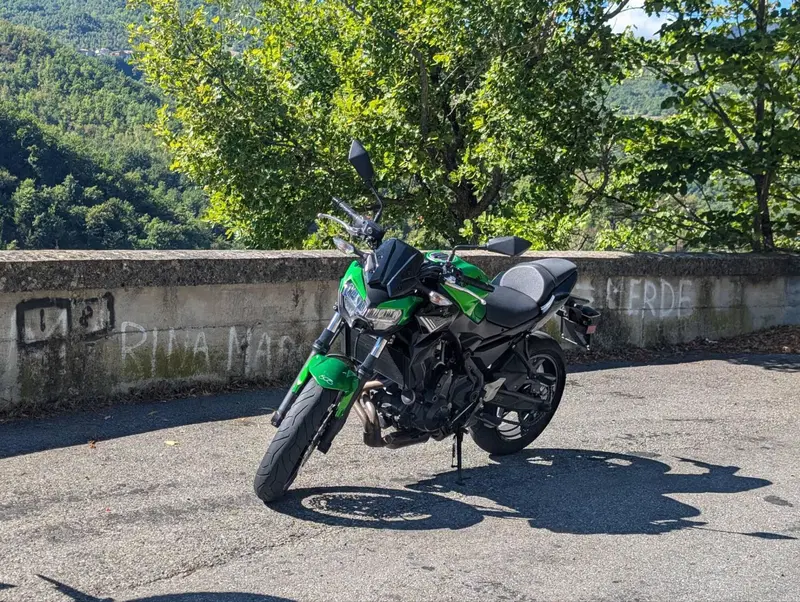 Kawasaki Z 650 (2020) (2)