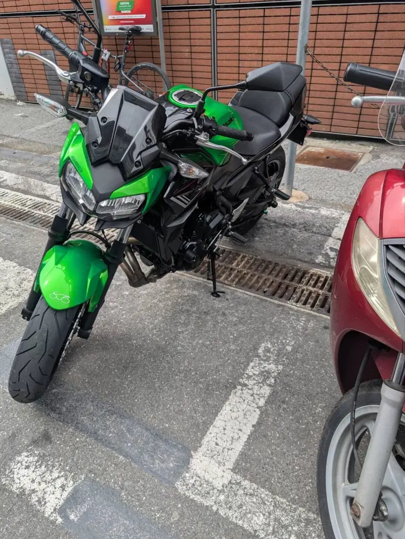 Kawasaki Z 650 (2020) (3)