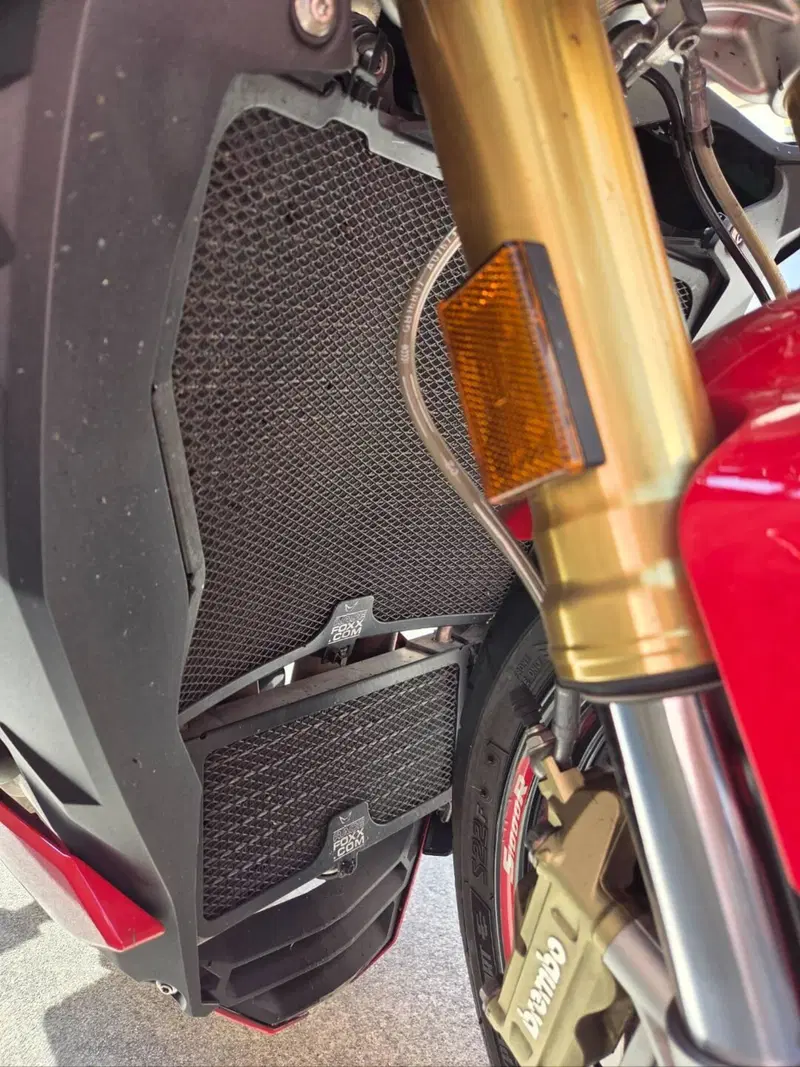 Bmw S 1000 R (2017 - 20) (6)