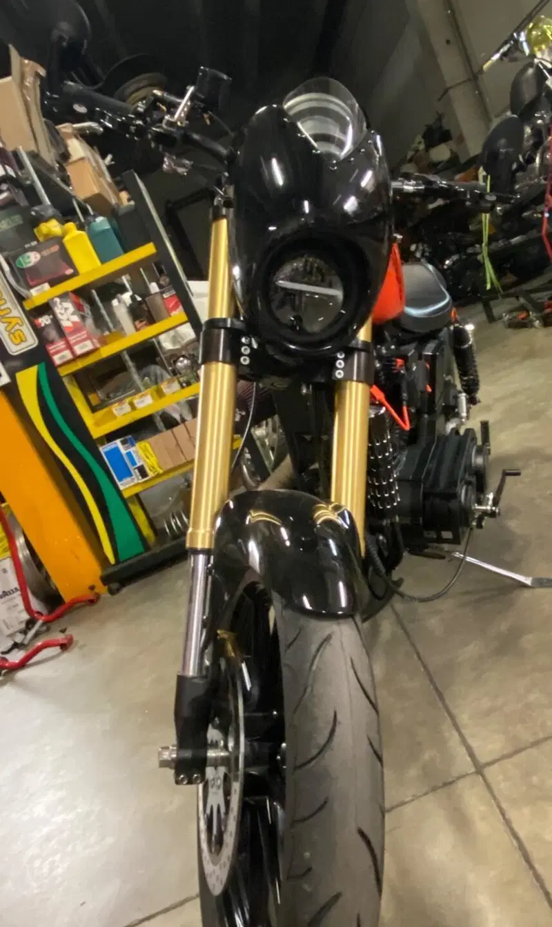 Harley-Davidson 1200 (1988 - 96) - HLX (5)