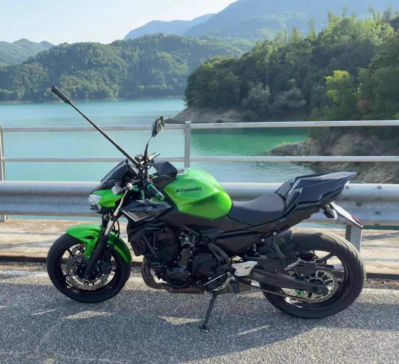 Kawasaki Z 650 (2020)