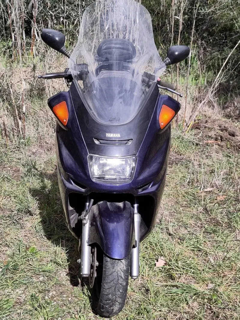 Yamaha Majesty 250 DX (1998 - 02) (2)