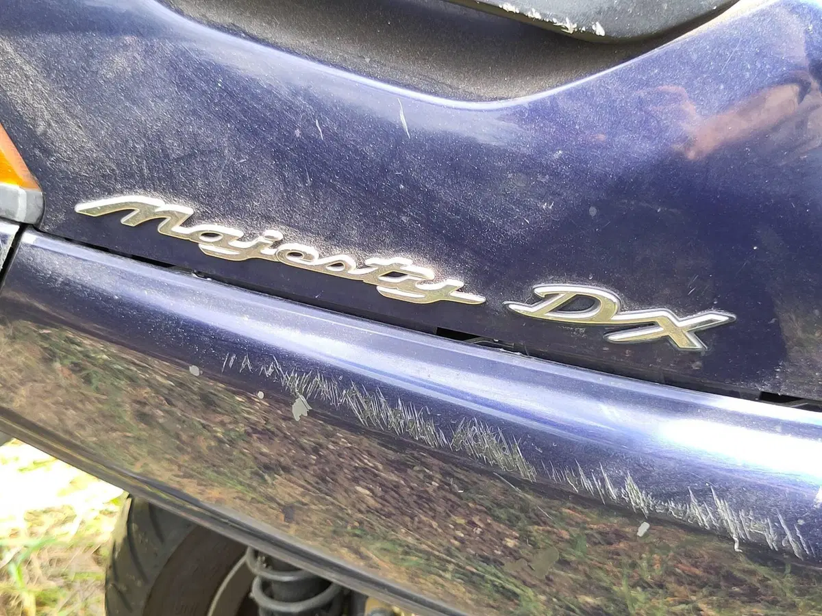 Yamaha Majesty 250 DX (1998 - 02) (9)