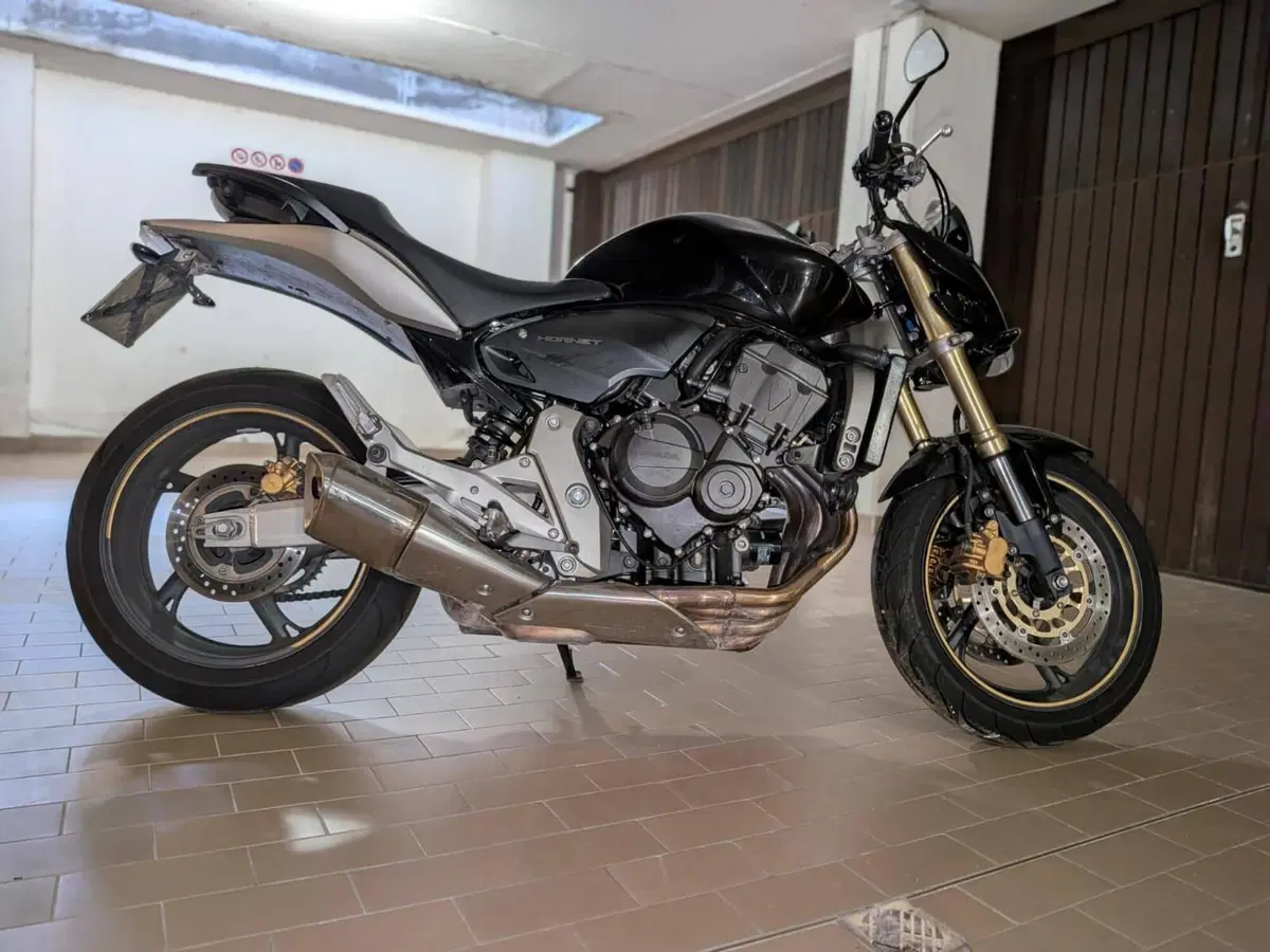 Honda Hornet 600 (2007 - 10)