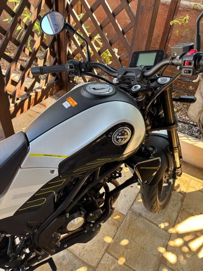 Benelli Leoncino 125 (2022 - 25) (8)