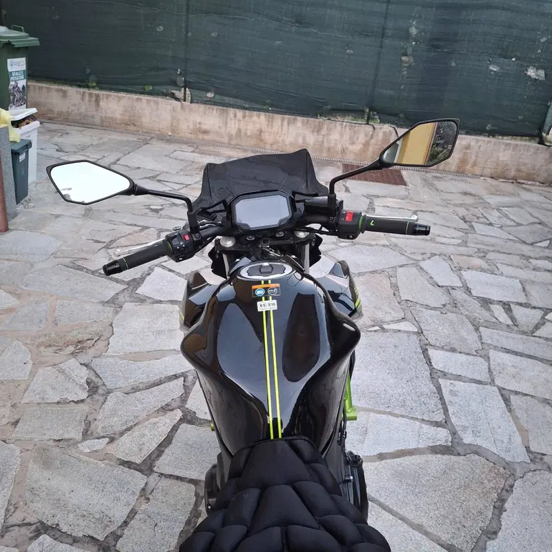 Kawasaki Z 650 (2021 - 24)