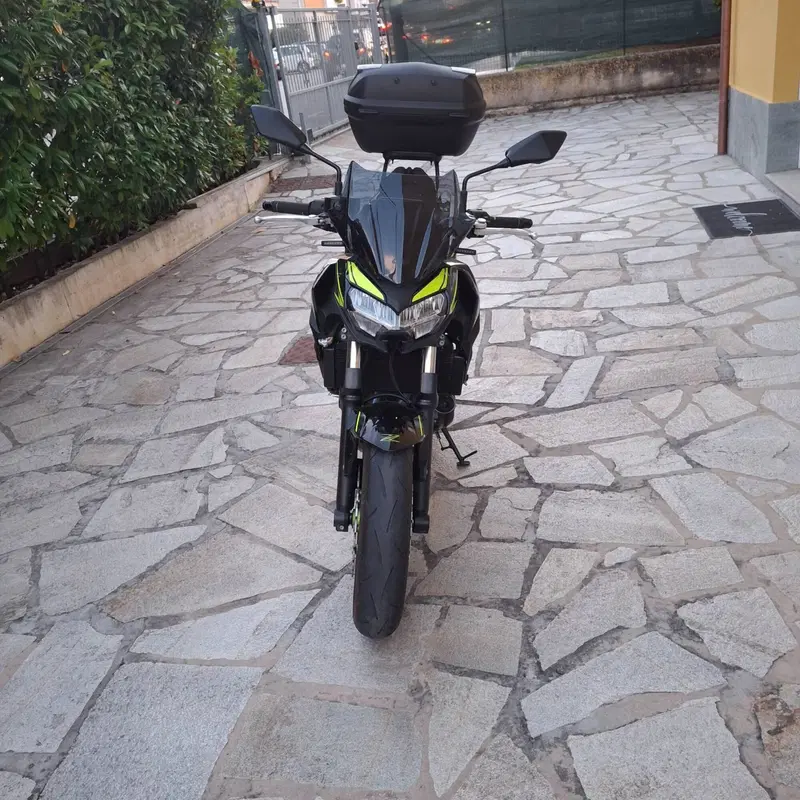 Kawasaki Z 650 (2021 - 24) (6)