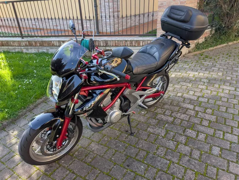 Kawasaki ER-6N (2005 - 08) (2)
