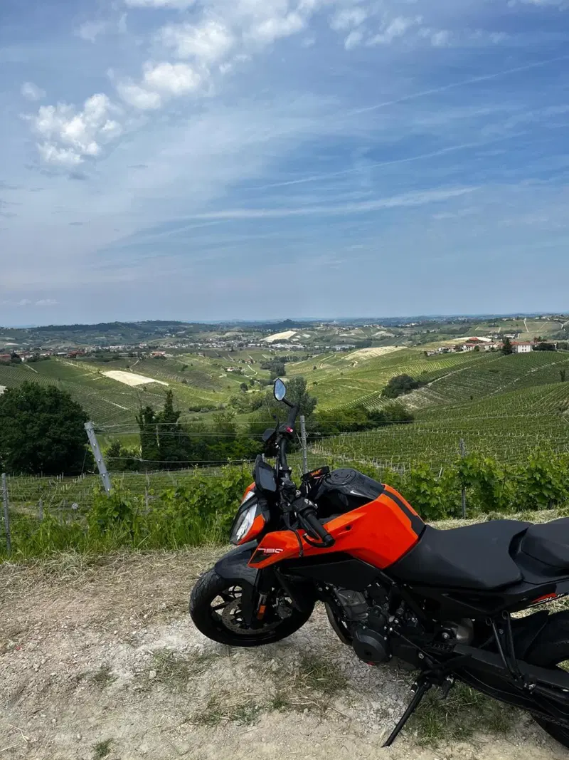 KTM 790 Duke (2018 - 20)