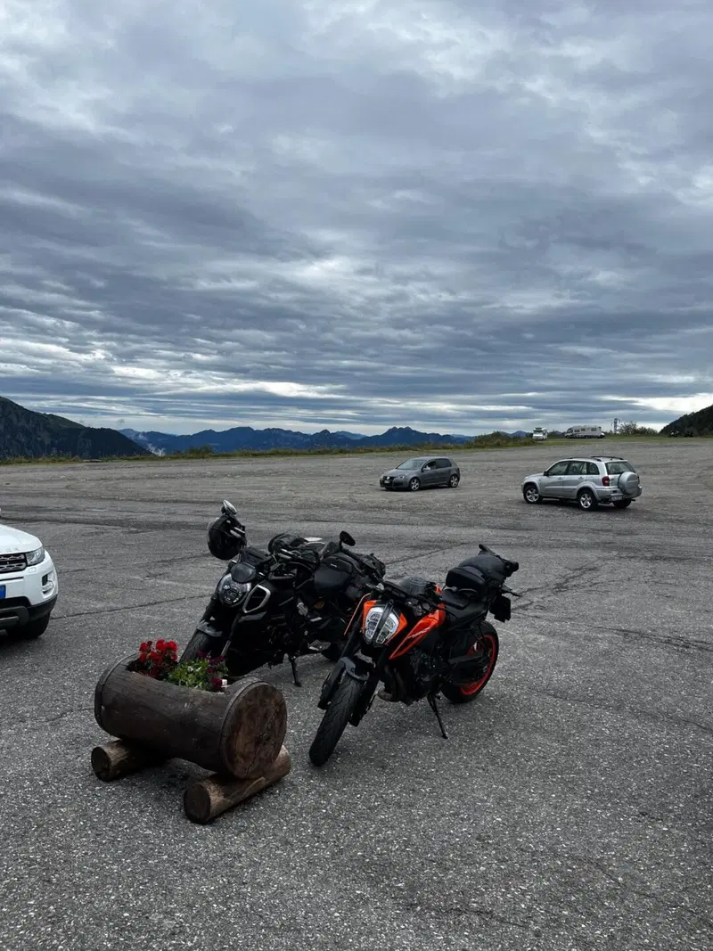 KTM 790 Duke (2018 - 20) (7)