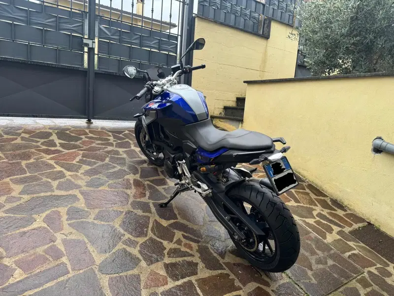 Bmw F 900 R (2017 - 20) (7)