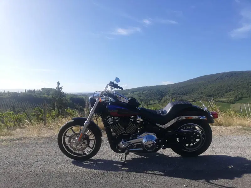 Harley-Davidson 107 Low Rider (2018 - 20) - FXLR (4)