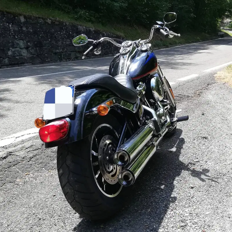 Harley-Davidson 107 Low Rider (2018 - 20) - FXLR (7)