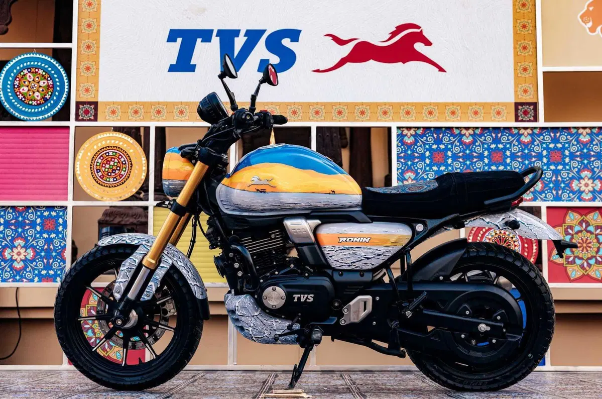 Rann of Kutch: il deserto salato indiano celebrato da TVS