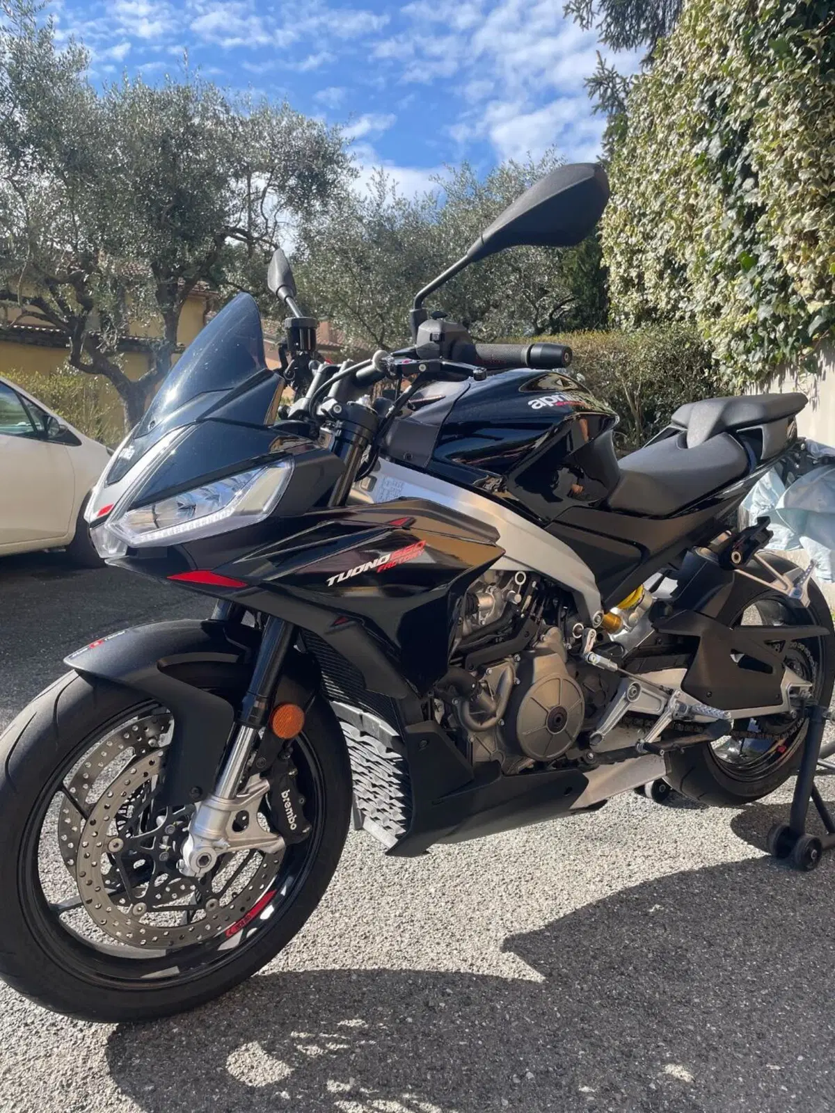 Aprilia Tuono 660 Factory (2022 - 24) (3)