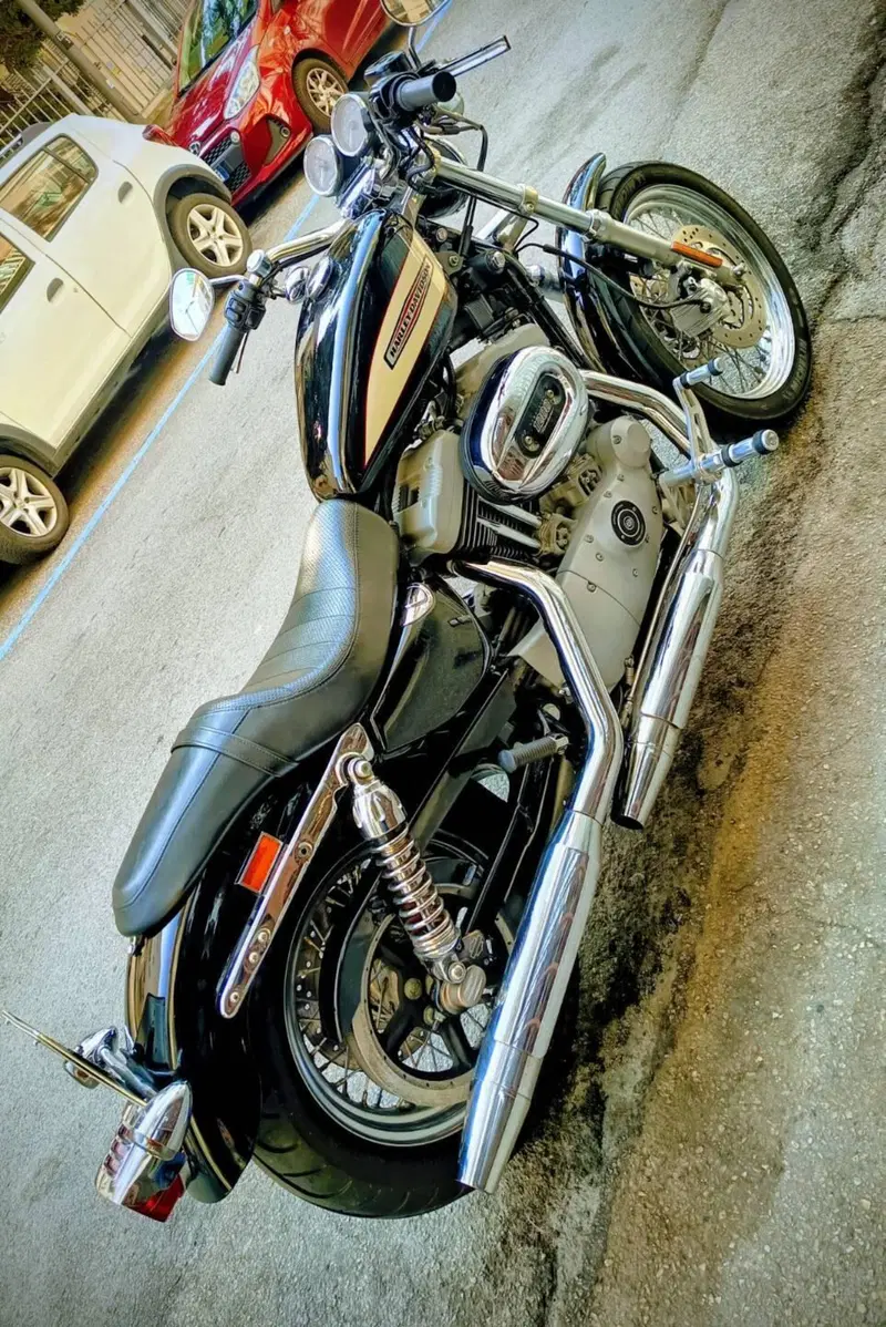 Harley-Davidson 1200 Roadster (2002 - 05) - XL 1200R