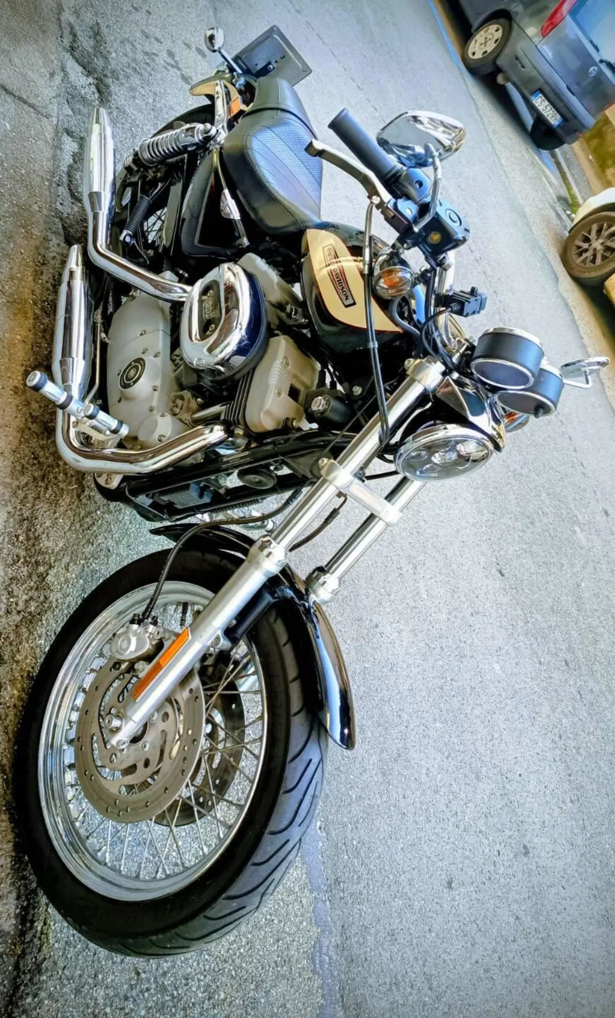 Harley-Davidson 1200 Roadster (2002 - 05) - XL 1200R (2)