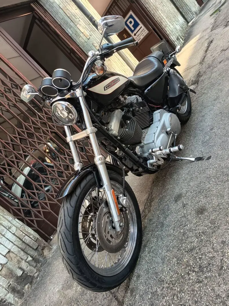 Harley-Davidson 1200 Roadster (2002 - 05) - XL 1200R (3)